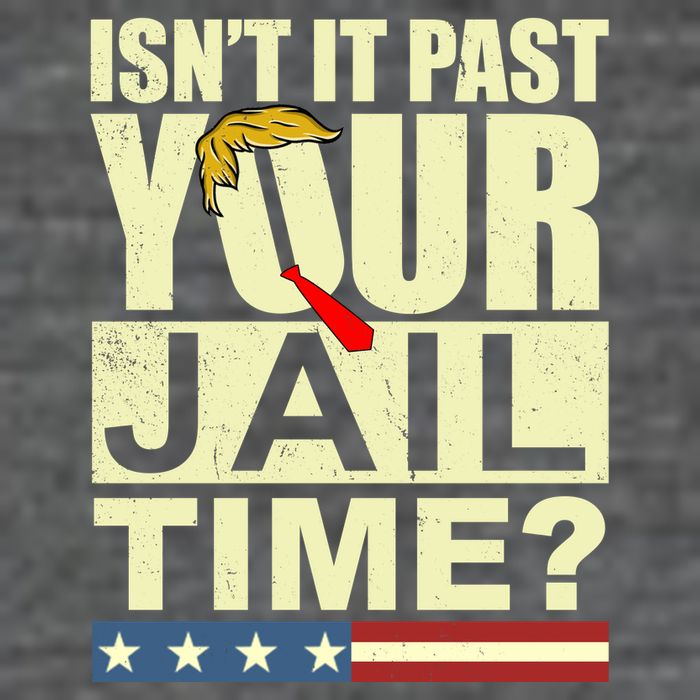 Trump Usa Isn’T It Past Your Jail Time Vintage Poster