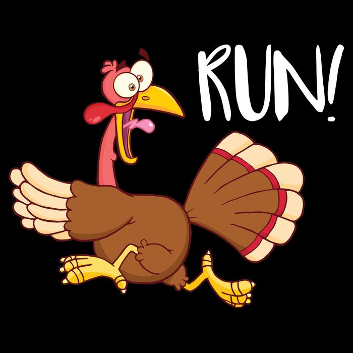 Turkey Run Button