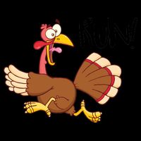 Turkey Run Mug