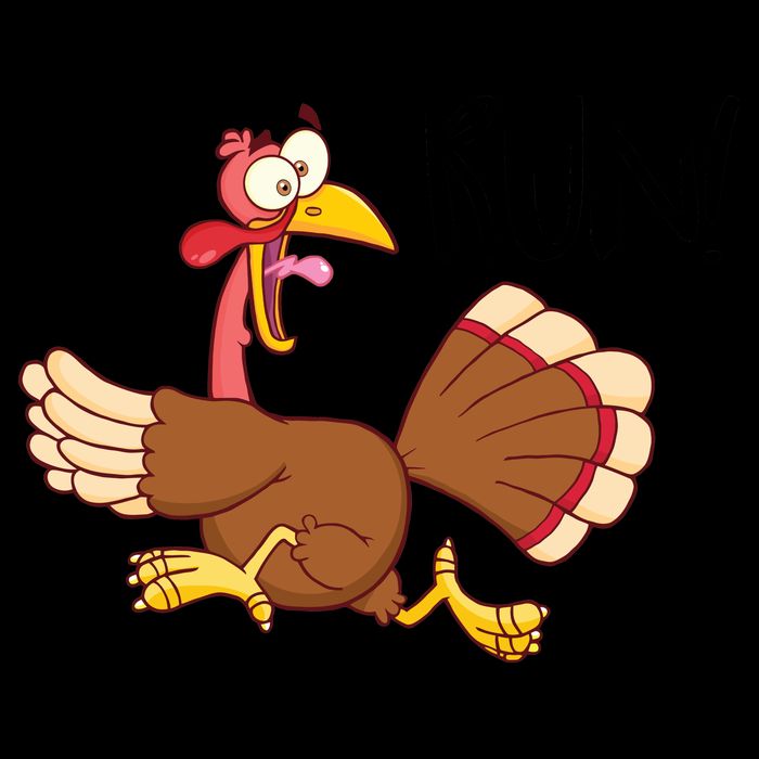 Turkey Run Mug