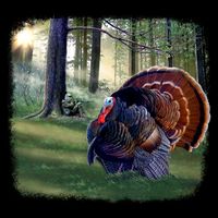 Turkey Time Button