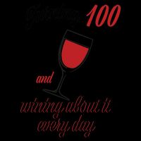 Turning 100 And Wining About It Everyday 16oz Travel Tumbler