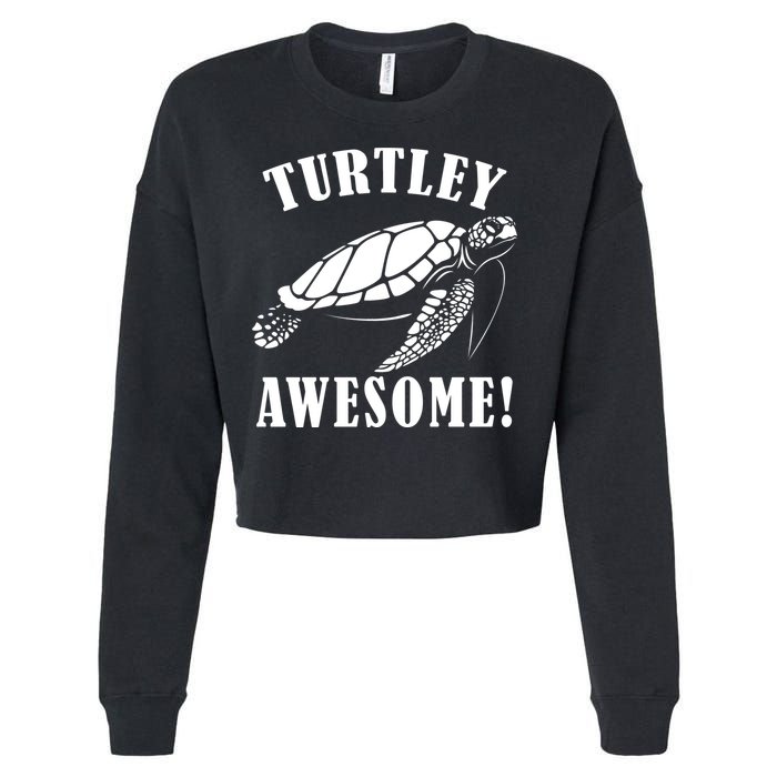 Turtley Awesome Cropped Pullover Crew