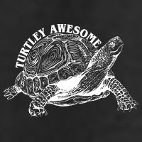Turtley Awesome Cute Funny Turtle Meme 7 Panel Mesh Trucker Snapback Hat