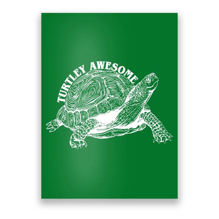 Turtley Awesome Cute Funny Turtle Meme Poster