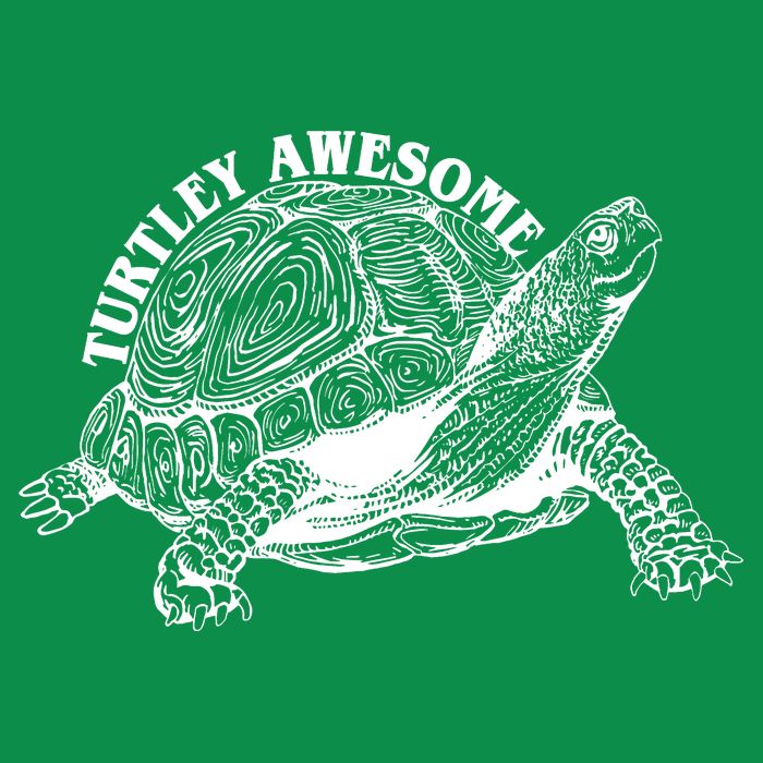 Turtley Awesome Cute Funny Turtle Meme Womens T-Shirt