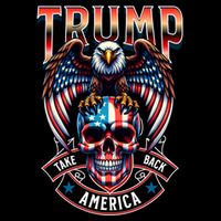 Trump Usa Skull Eagle Take America Back Flatbill Hat