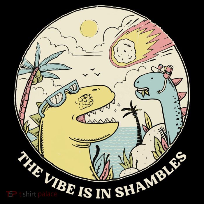 The Vibe Is In Shambles Womens T-Shirt