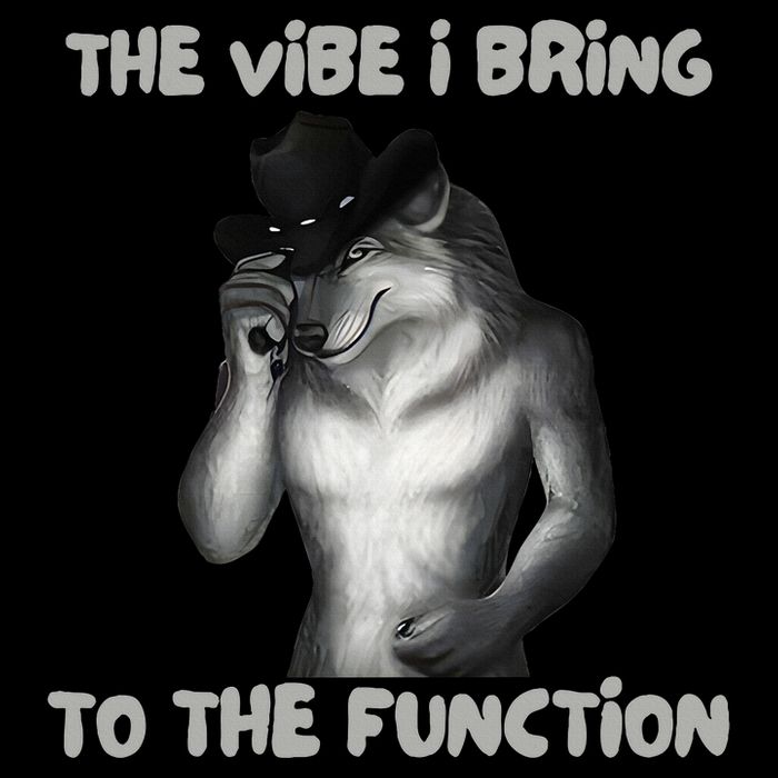 The Vibe I Bring To The Function Funny Wolf Meme Wool Snapback Cap