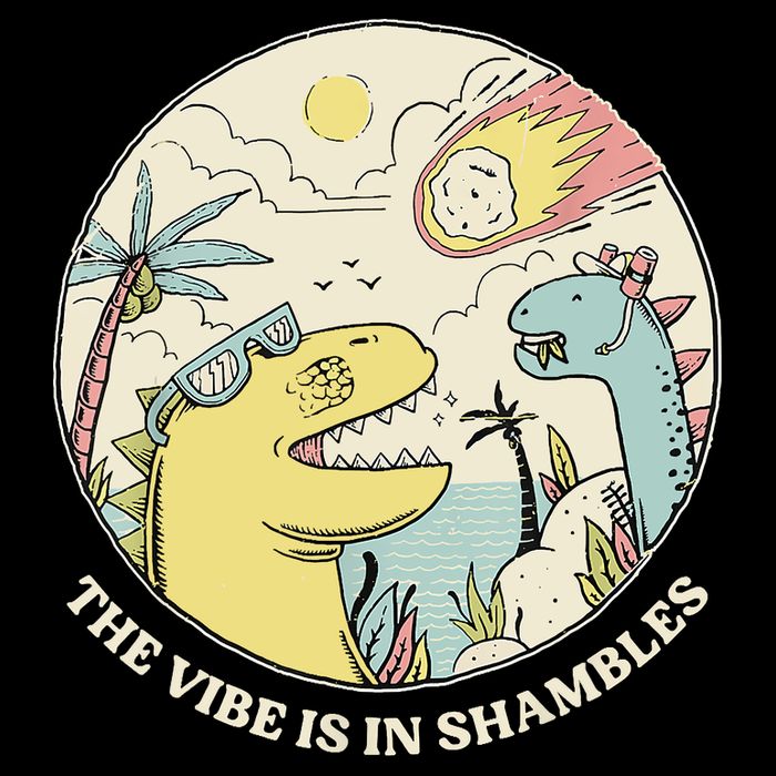 The Vibe Is In Shambles Wool Snapback Cap