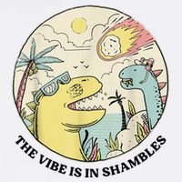 The Vibe Is In Shambles Wool Snapback Cap