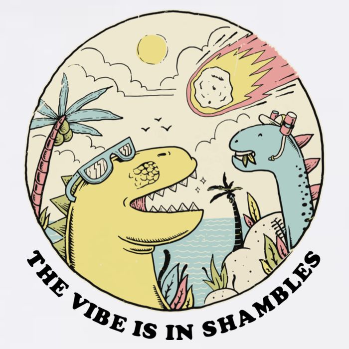 The Vibe Is In Shambles Toddler T-Shirt