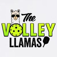 The Volley LLamas comic style llama pickle ball Adult Drive Performance Visor