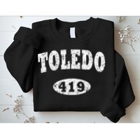 Toledo Vintage Ohio Area Code 419 Sweatshirt