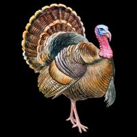 Turkey Vintage Retro Gobble Gobble Thanksgiving Classic Cool Gift Doggie Tank