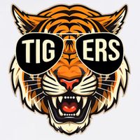 Tigers Vintage Sports Name Design Mug