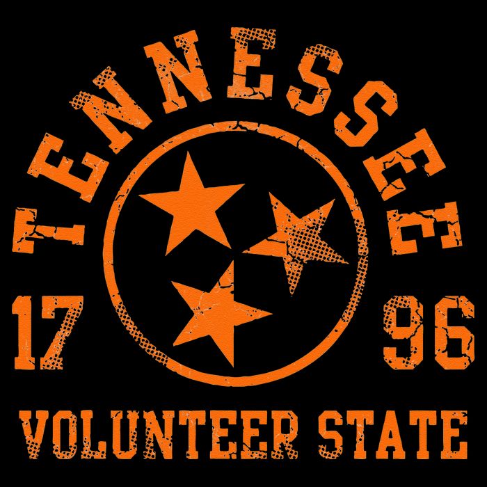 Tennessee Volunteer State Flag Home Vintage Distressed Toddler T-Shirt