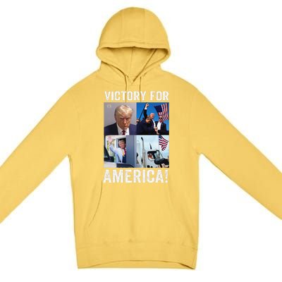 Trump Victory Trump Wins 2024 Election President Celebration Gift Premium Pullover Hoodie