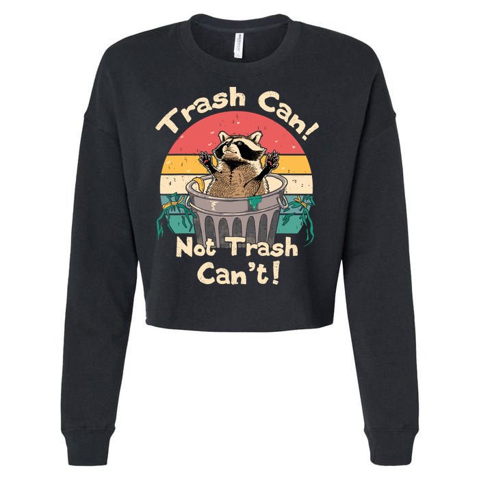 Trash Vintage Talker Raccoon Trash Can Not Trash Cant Cropped Pullover Crew