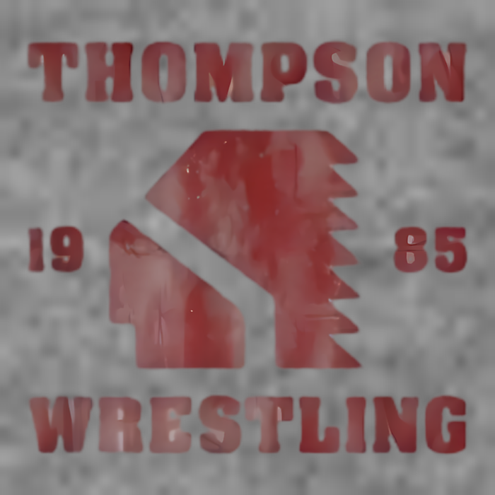 Thompson Wrestling 1985 Iconic Spirit Toddler Hoodie