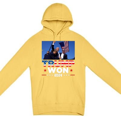 Trump Won 2024 Get Over It 47th Us President Premium Pullover Hoodie