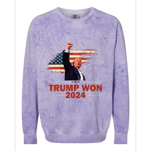 Trump Won 2024 Election President 47 Th Colorblast Crewneck Sweatshirt