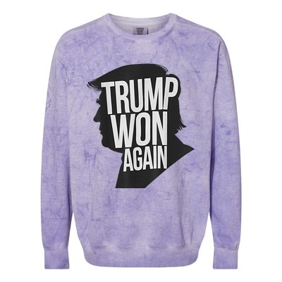 Trump Wins 2024 Election Trump Won 2024 Colorblast Crewneck Sweatshirt