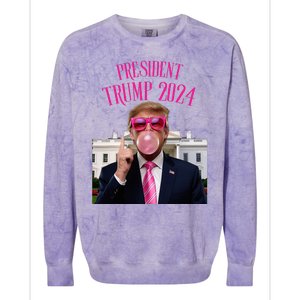 Trump Won 2024 President Trump Blowing Colorblast Crewneck Sweatshirt