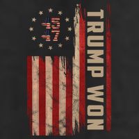 Trump Won 2024 45 47th President Usa Flag 7 Panel Mesh Trucker Snapback Hat