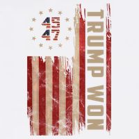 Trump Won 2024 45 47th President Usa Flag Toddler T-Shirt