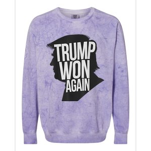 Trump Wins 2024 Presidential Election 2024 Donald Trump Wins Us Presidency Colorblast Crewneck Sweatshirt