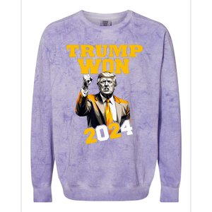 Trump Won 2024 Apparel Colorblast Crewneck Sweatshirt