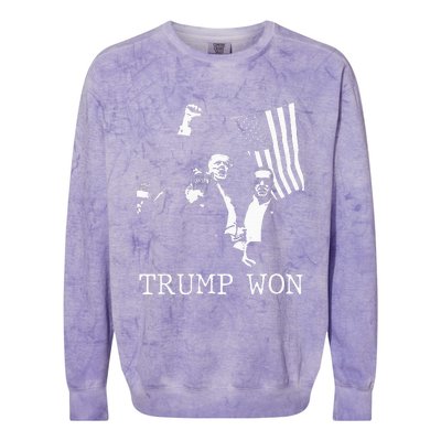 Trump Won 2024 Election Inauguration Colorblast Crewneck Sweatshirt