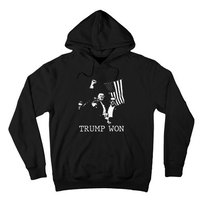 Trump Won 2024 Election Inauguration Hoodie