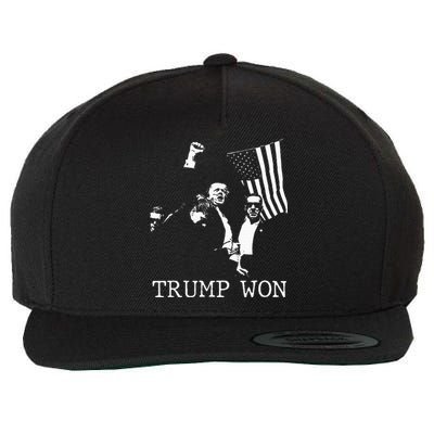 Trump Won 2024 Election Inauguration Wool Snapback Cap