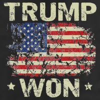 Trump Won 4th of July American Flag 11oz C Handle Ceramic Mug