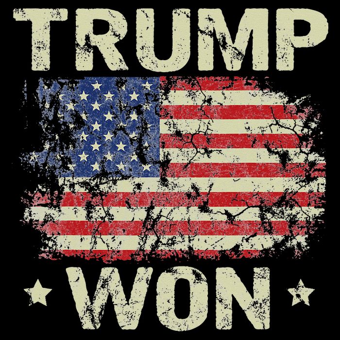 Trump Won 4th of July American Flag 16 in Basic Backpack