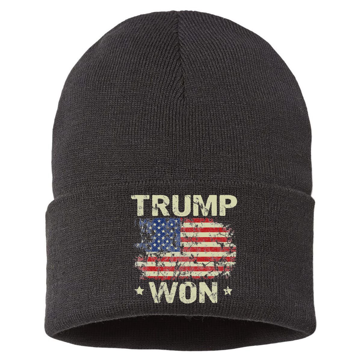 Trump Won 4th of July American Flag Sustainable Knit Beanie