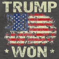 Trump Won 4th of July American Flag Vector Backpack