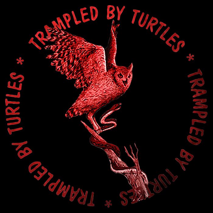Turtles With Alpenglow Sunset By Trampled Wool Snapback Cap