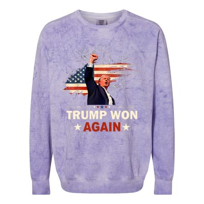 Trump Won Again 2024 Election President 47 Th American Flag Colorblast Crewneck Sweatshirt