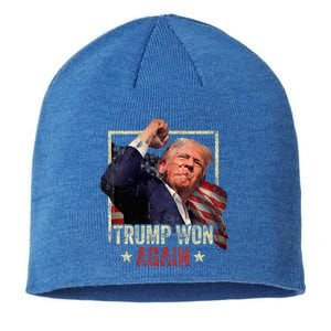 Trump Won Again 2024 Election President 47th American Flag Sustainable Beanie