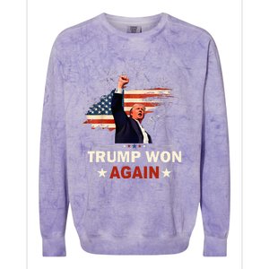 Trump Won Again 2024 Election President 47 Th American Flag Colorblast Crewneck Sweatshirt