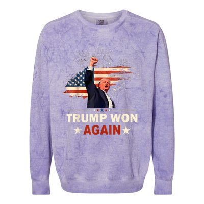 Trump Won Again 2024 Election President 47 Th American Flag Colorblast Crewneck Sweatshirt