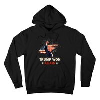 Trump Won Again 2024 Election President 47 Th American Flag Hoodie