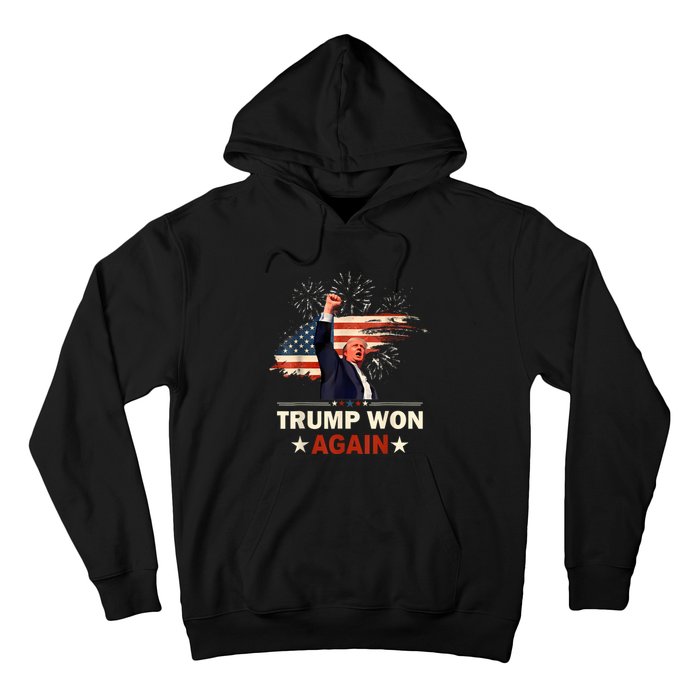 Trump Won Again 2024 Election President 47 Th American Flag Hoodie