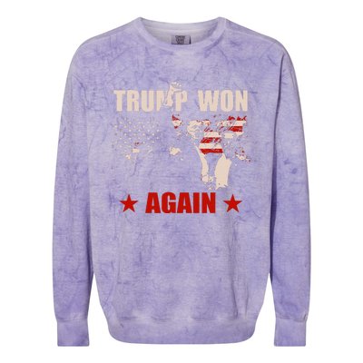 Trump Won Again 47 President American Flag Inauguration 2025 Colorblast Crewneck Sweatshirt