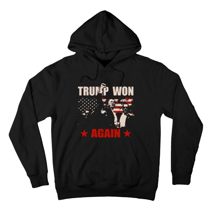 Trump Won Again 47 President American Flag Inauguration 2025 Hoodie