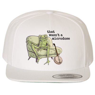 That WasnT A Microdose Humor Strange Naked Frog Meme Wool Snapback Cap