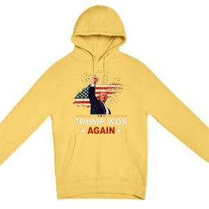 Trump Won Again 2024 Election President 47 Th American Flag Premium Pullover Hoodie